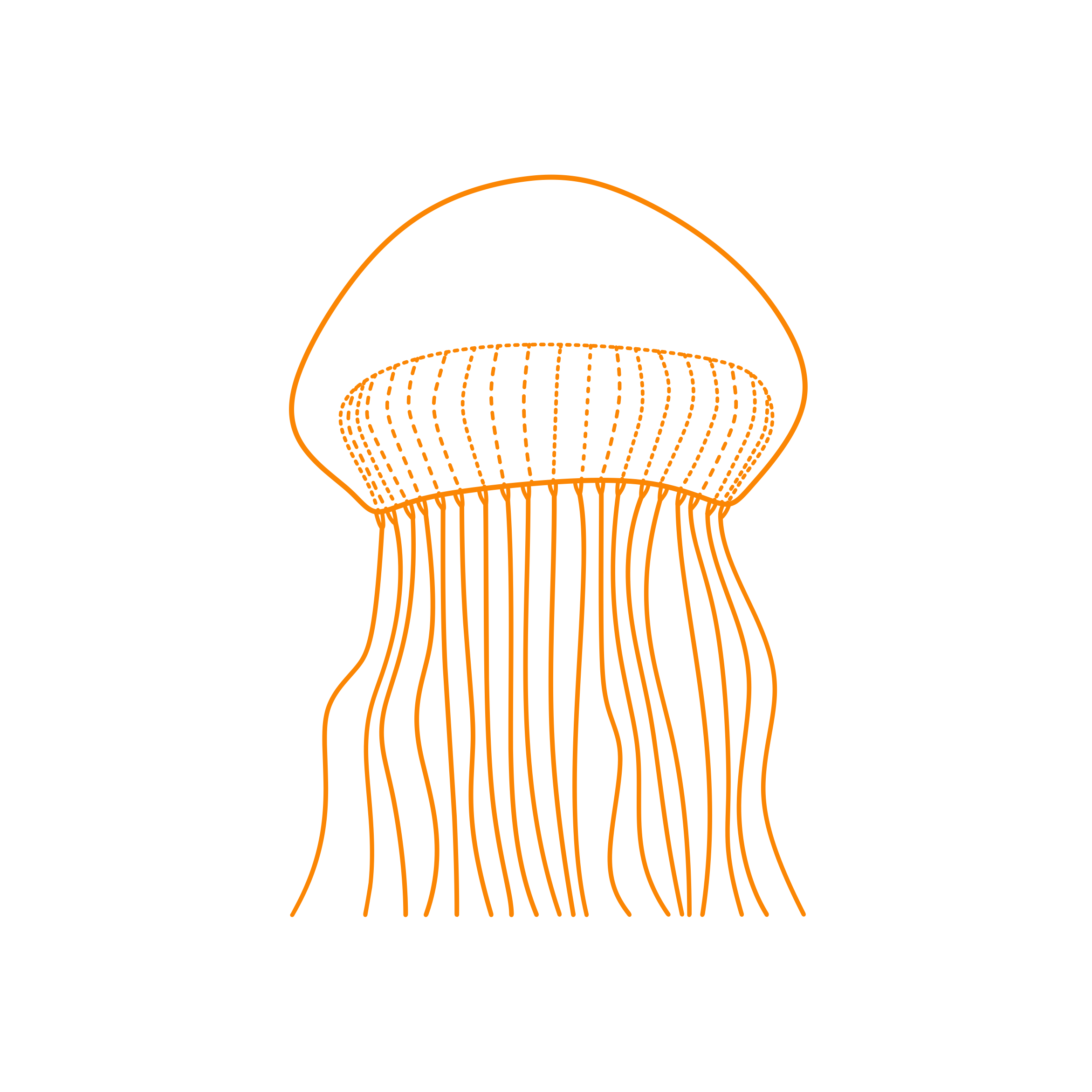 Animals Jellyfish Crystal Jellyfish Editable Svg Line Art Free Vectors
